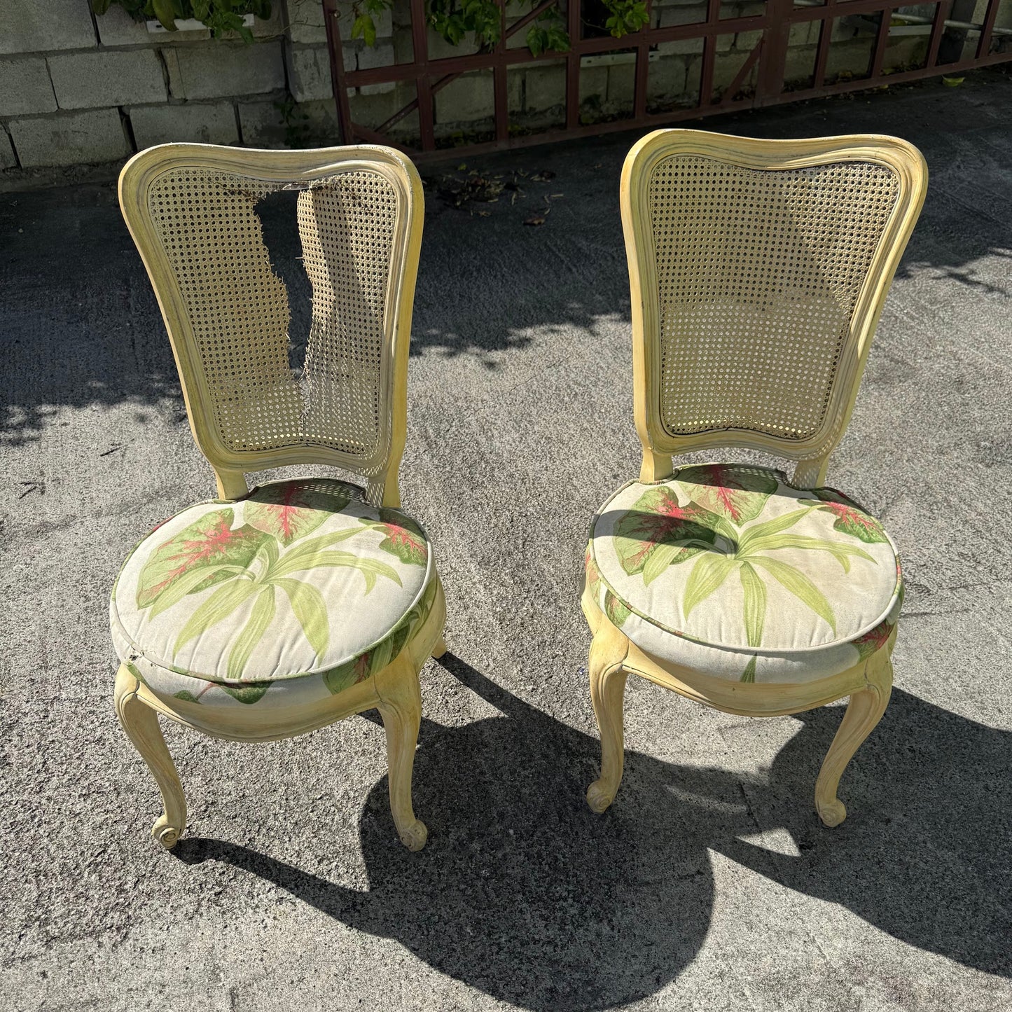2 Cane Back Dining Chairs with Floral Cushions