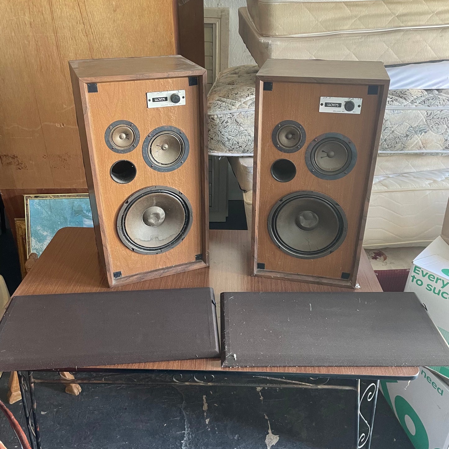 2 Lloyd's Speakers