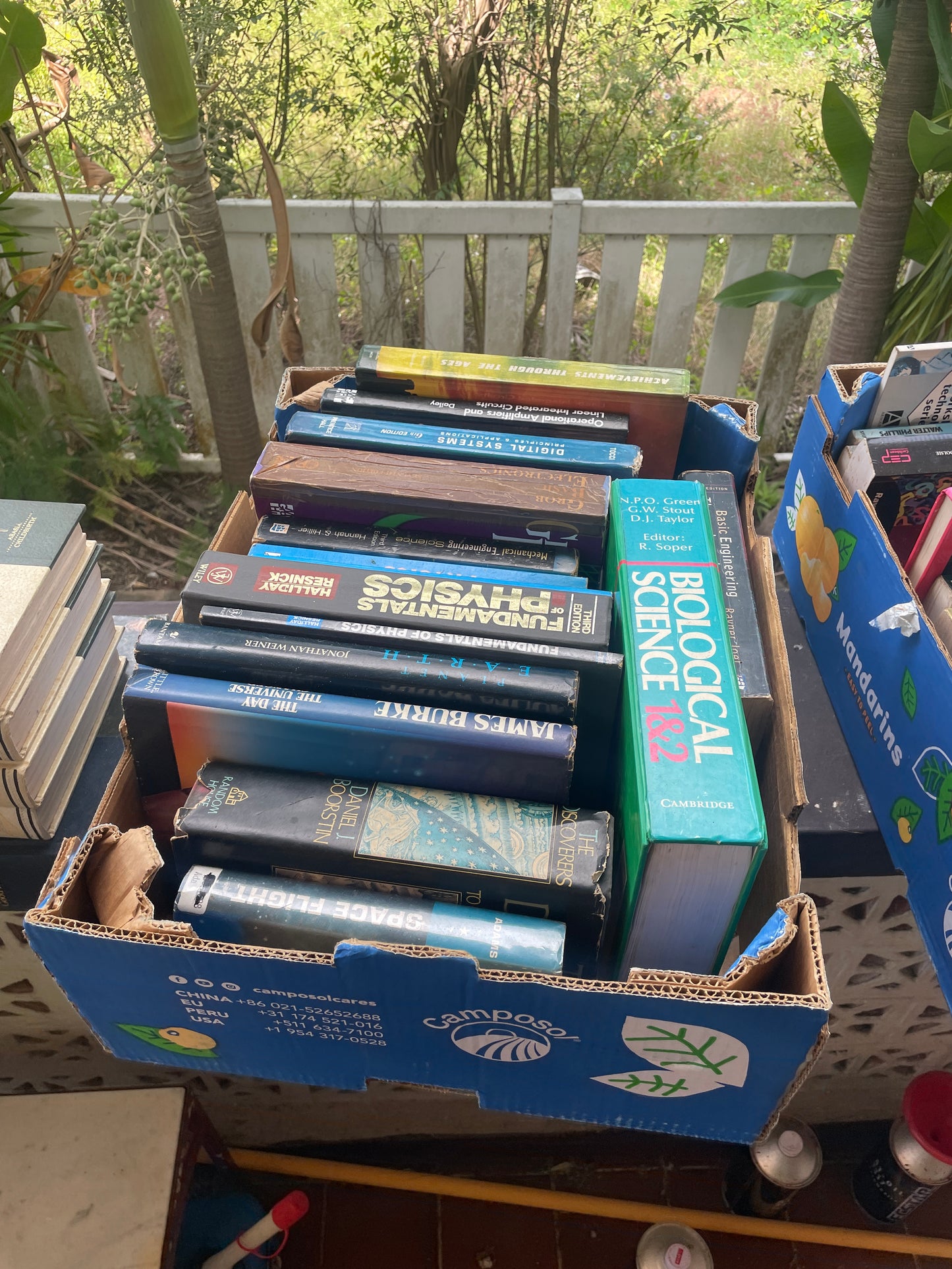 Collection Of Books