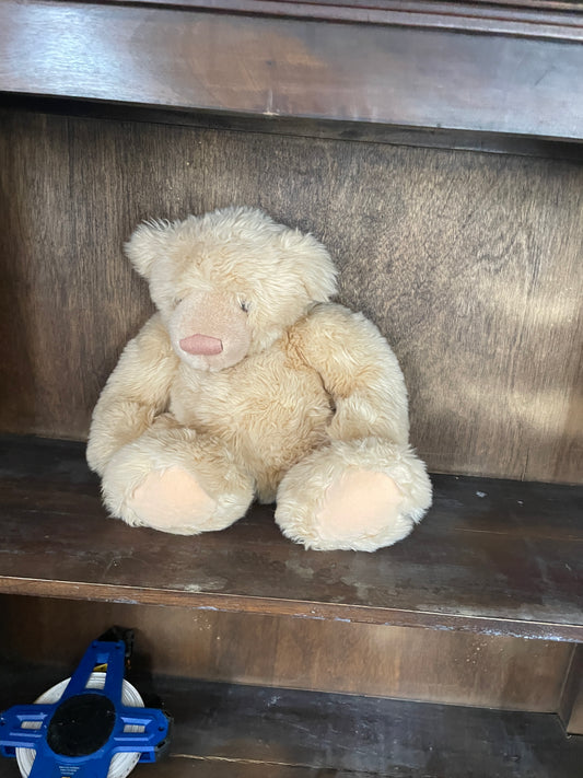 1 Teddy Bear