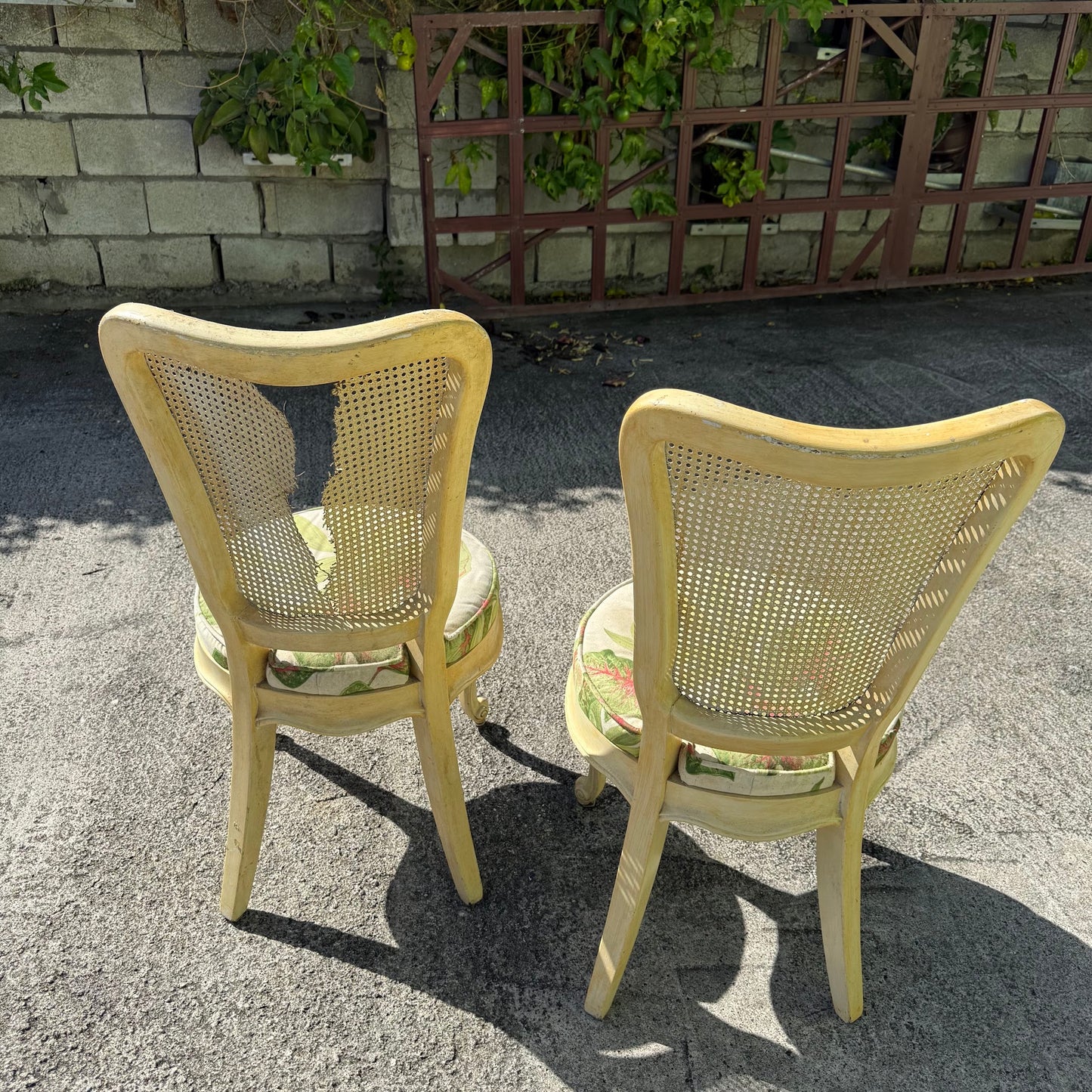2 Cane Back Dining Chairs with Floral Cushions