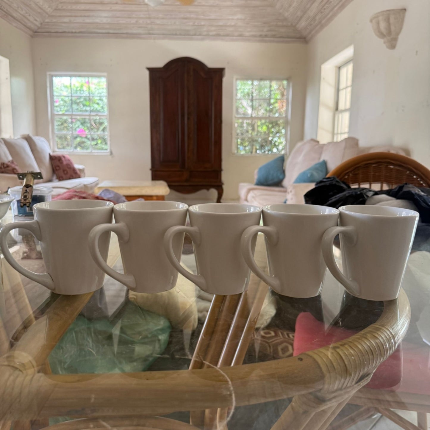 5 White Mugs