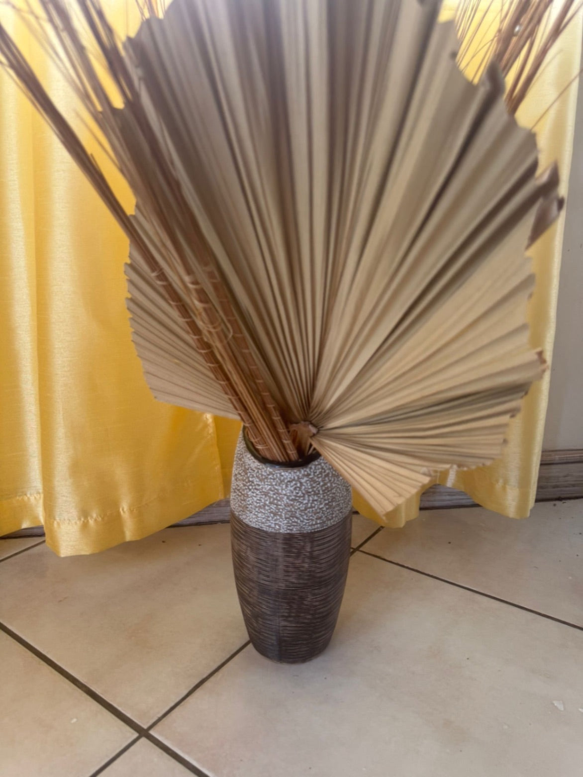 Decorative plant Beige and brown
