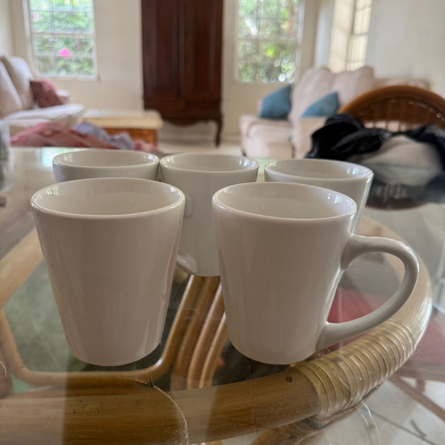 5 White Mugs