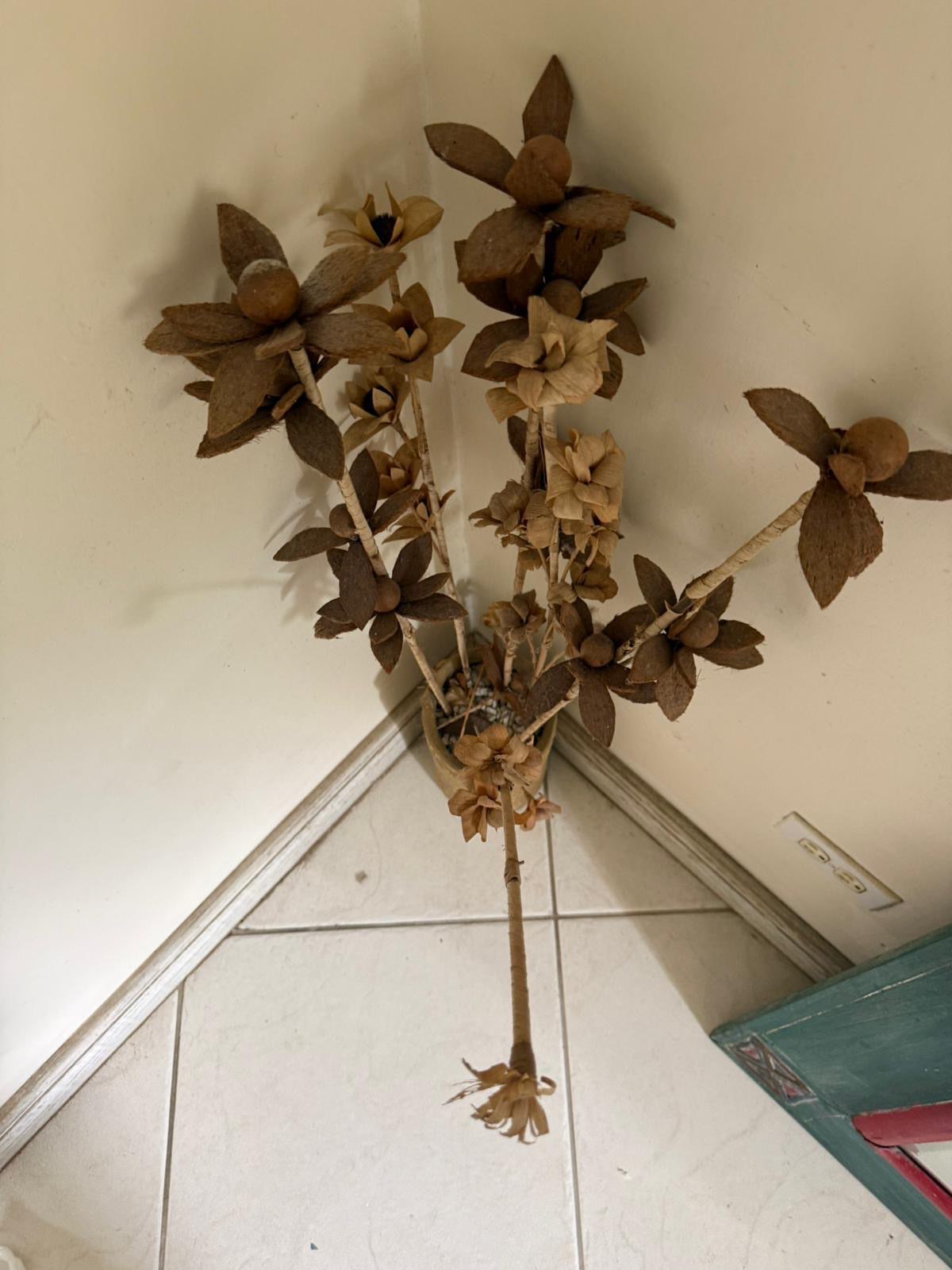 Decorative plant Beige/Brown