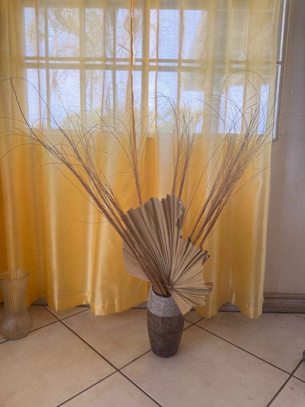 Decorative plant Beige and brown