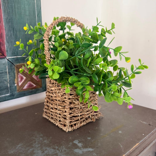 Decorative plant in Wicker Basket