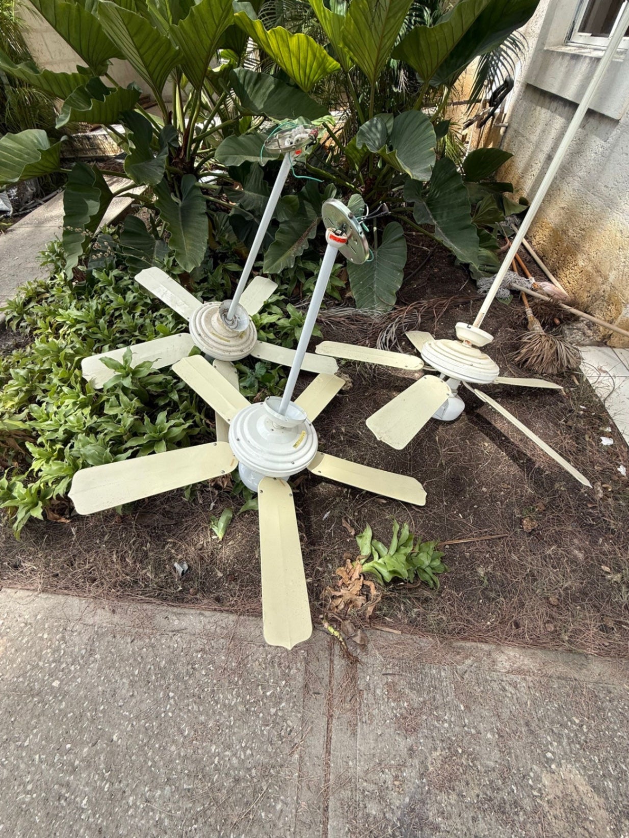 3 Ceiling Fans Cream/Beige