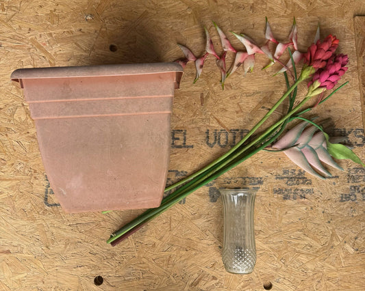 Plant Pot + Flowers + Vase
