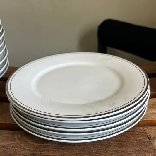 Set of 5 Medium Dinner Plates