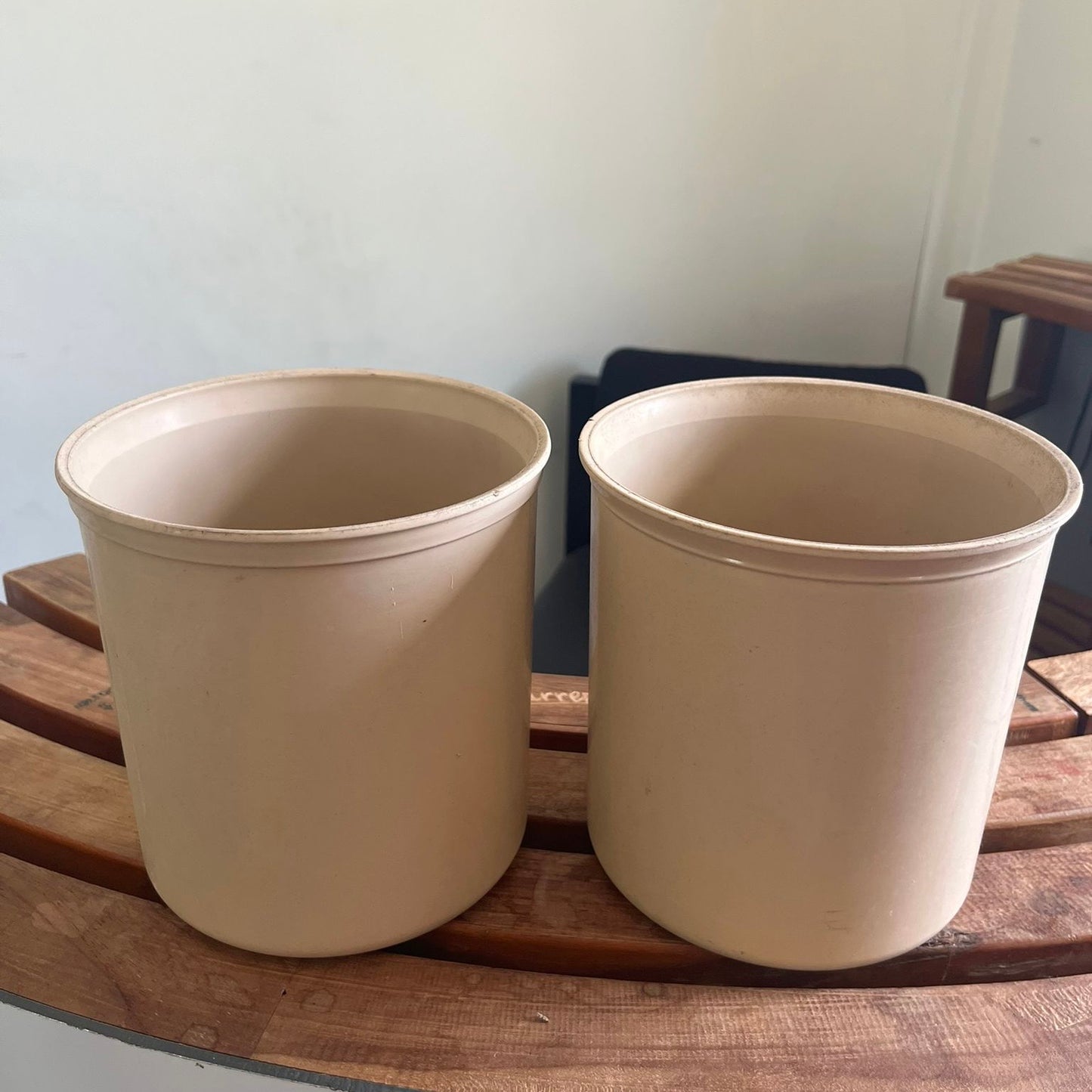 2 Cambro Flower/Plant Pots