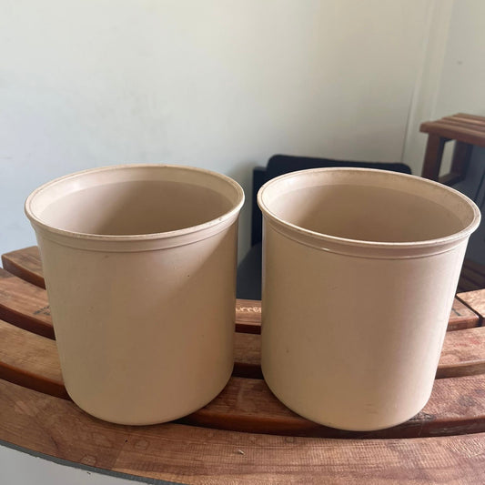 2 Cambro Flower/Plant Pots