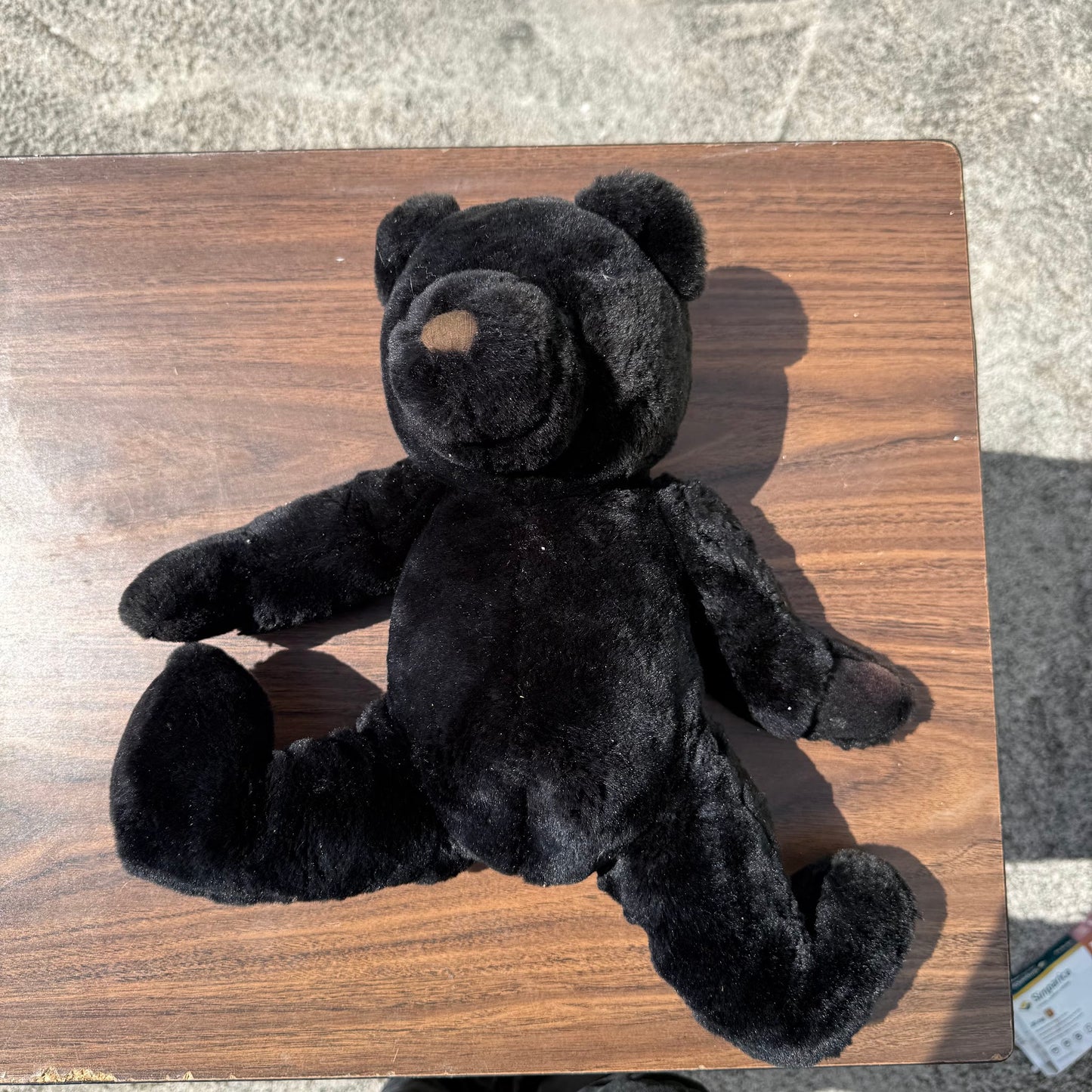 Black Plush Bear