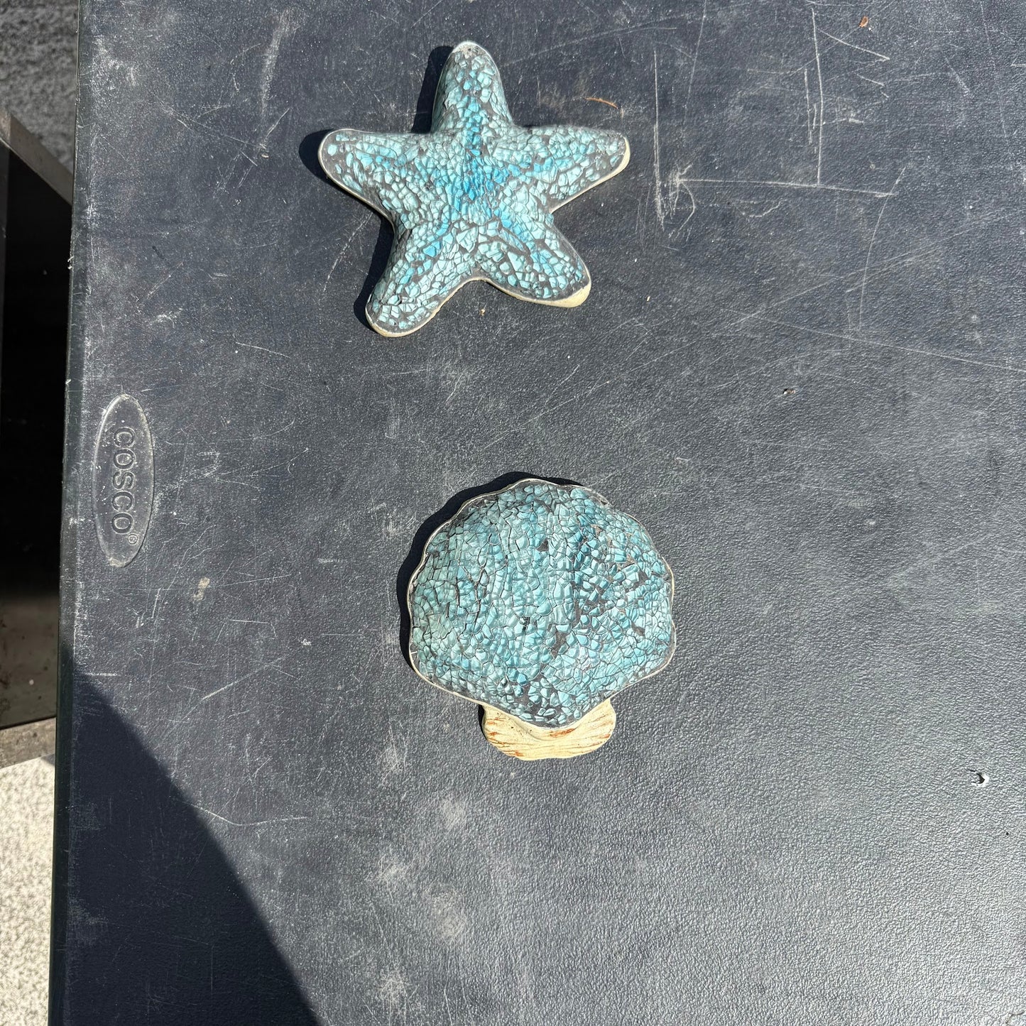 Coastal Starfish and Seashell Wall Decor