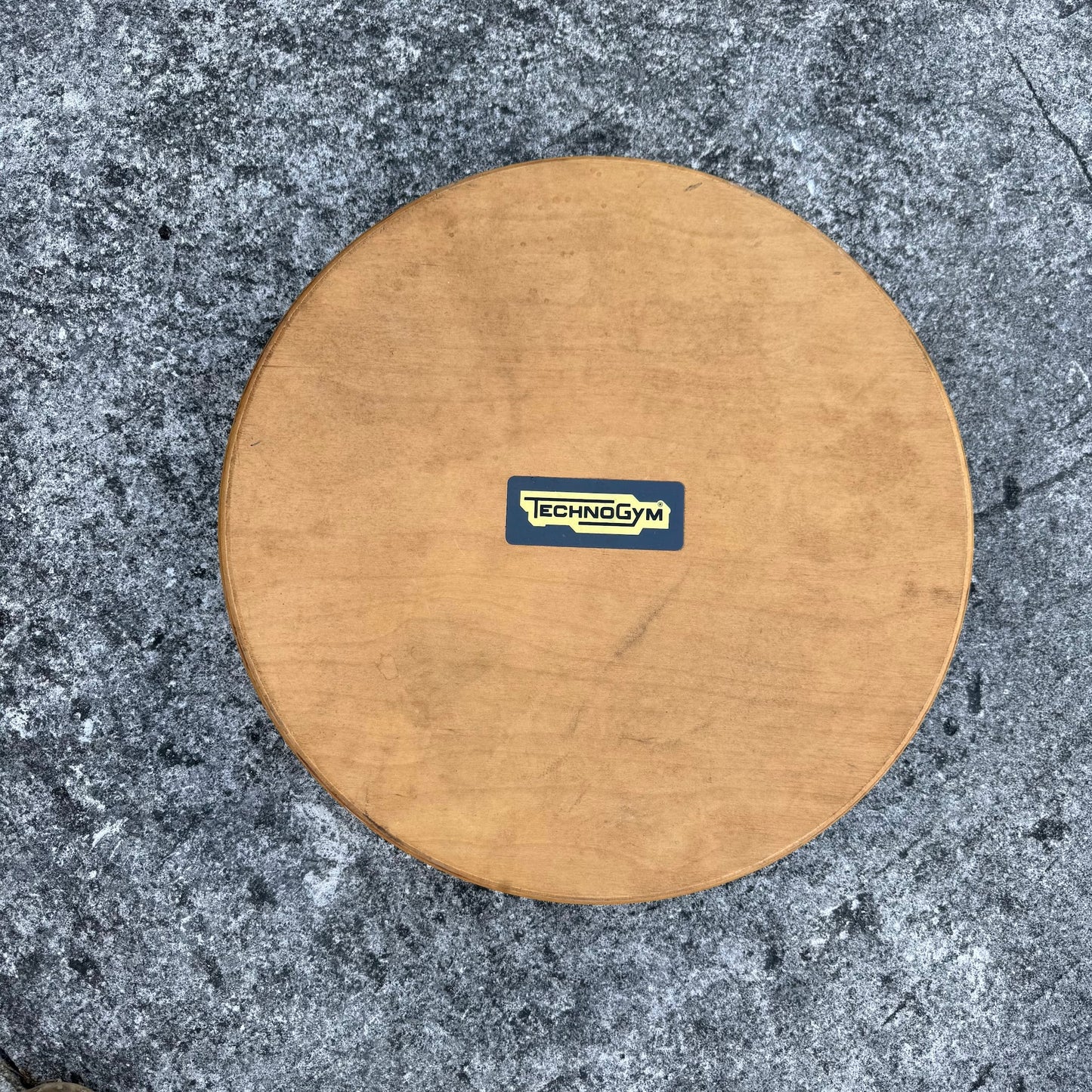 Technogym Balance Board